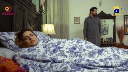 Guddu - Episode 51 - 7th Oct 2022